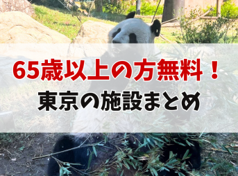 65歳以上 無料 施設 東京